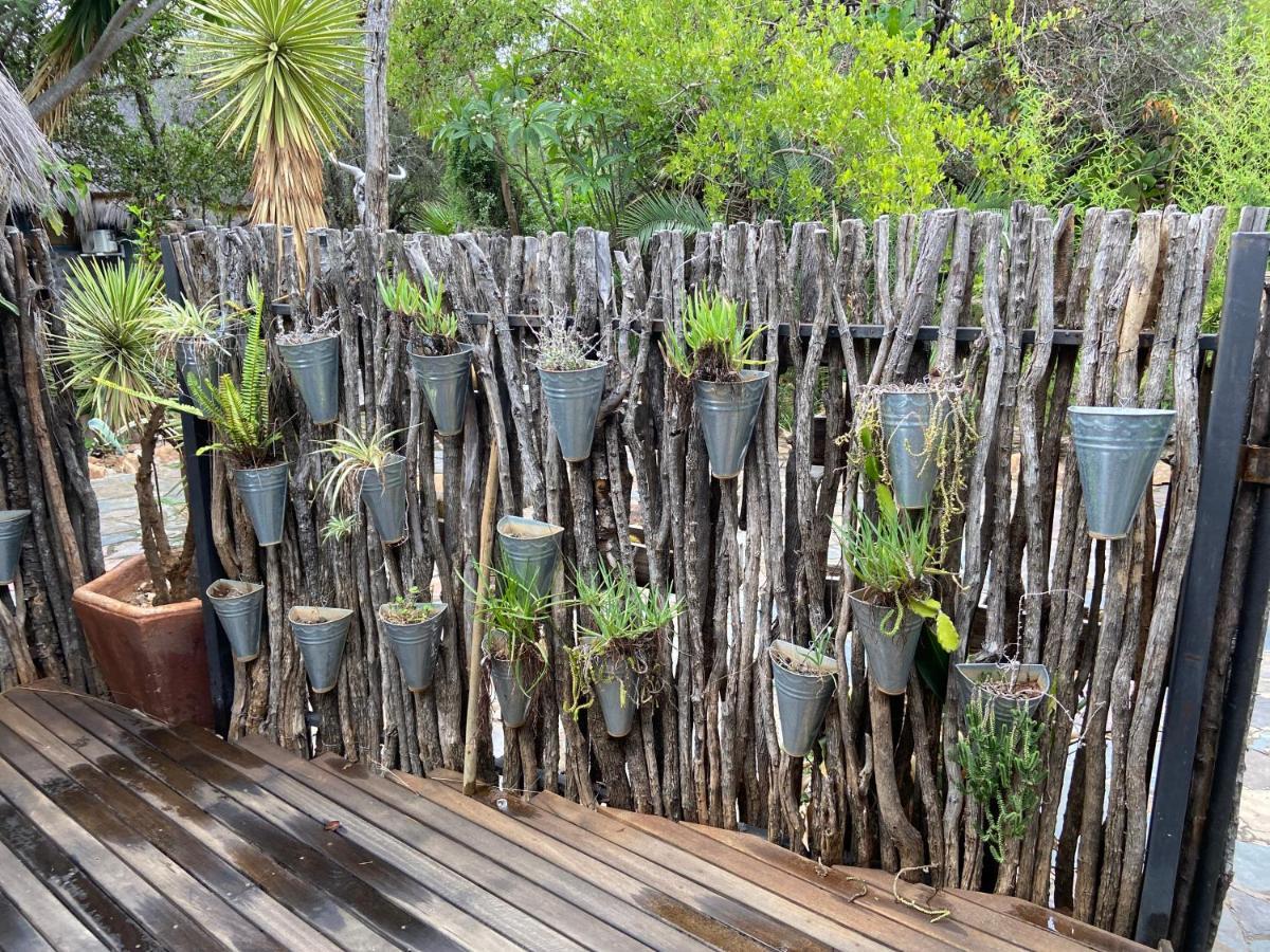 Hippomoon Lodge Game Reserve 호에드스프뤼트 외부 사진