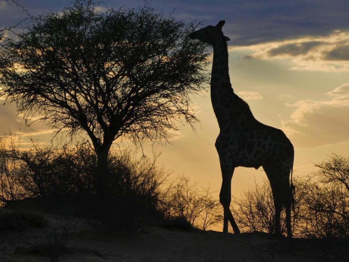 Hippomoon Lodge Game Reserve 호에드스프뤼트 외부 사진